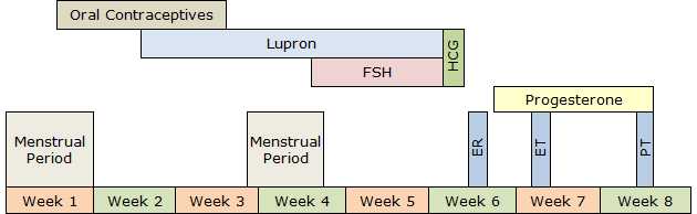 timeline of ivf treatment